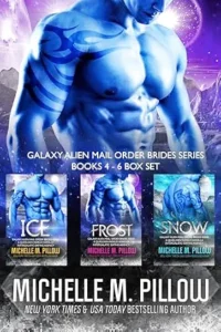 Galaxy Alien Mail Order Brides (Books 4 - 6 Box Set): Qurilixen World Novellas: Intergalactic Dating Agency