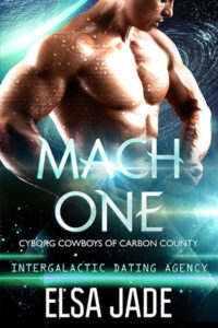 Mach One Cover