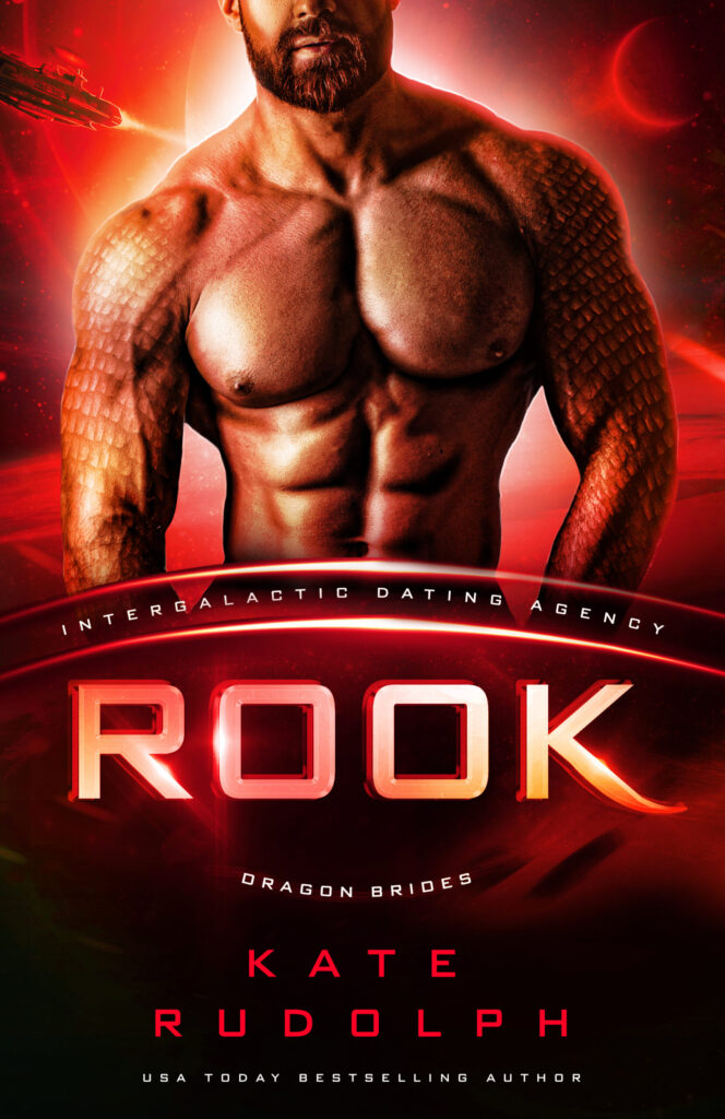 Rook Book Cover