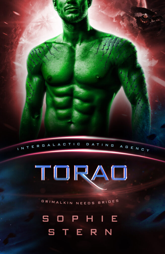 Torao Book Cover
