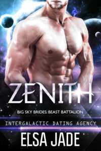 Zenith Cover